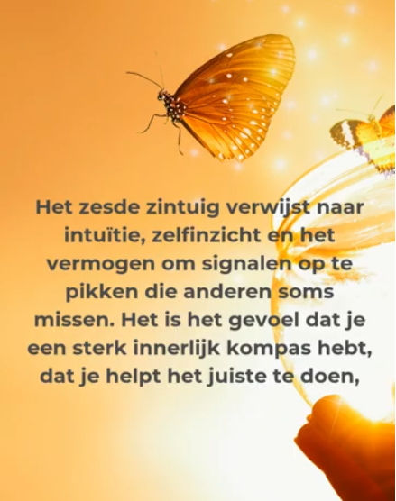 Het 6e zintuig
